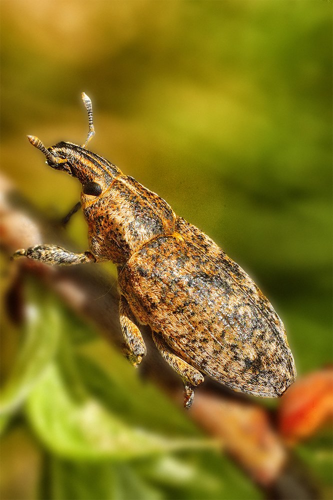 Фотография автора Игорь Иванов