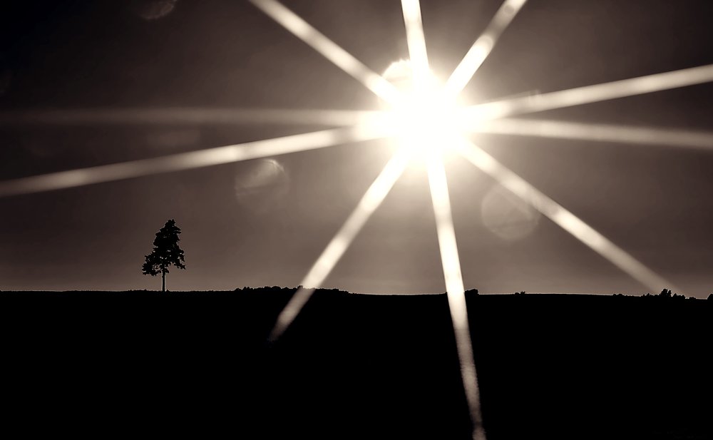 Минимализм в лучах солнца ...