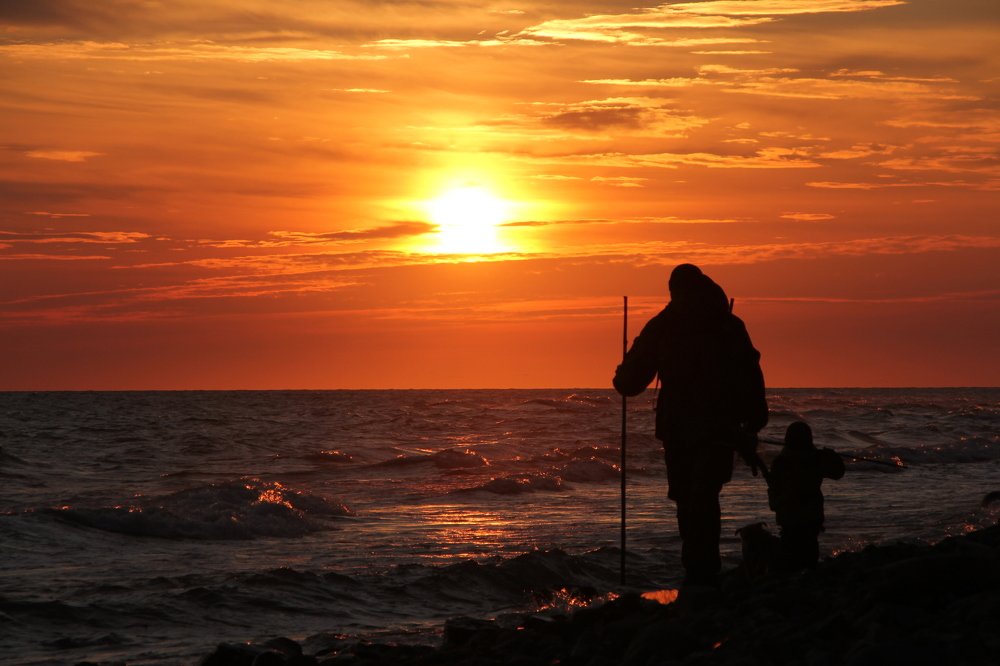 Отец и сын... и пёс