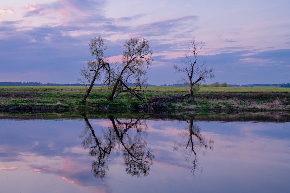 Из последних сил