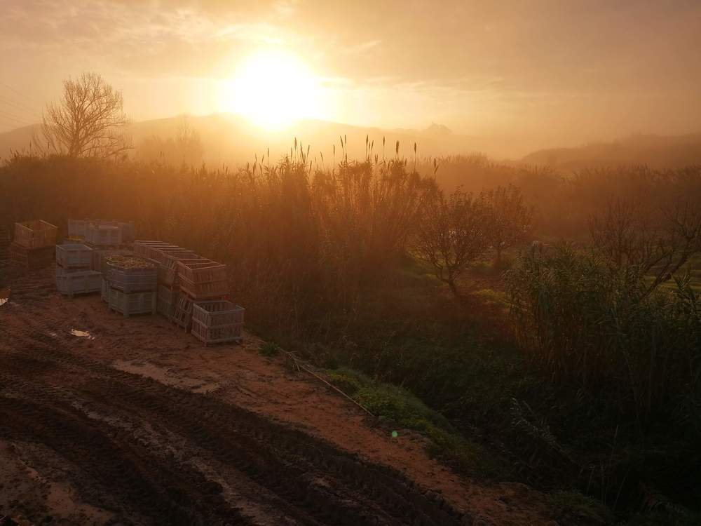 Photograph by Иван Шатный