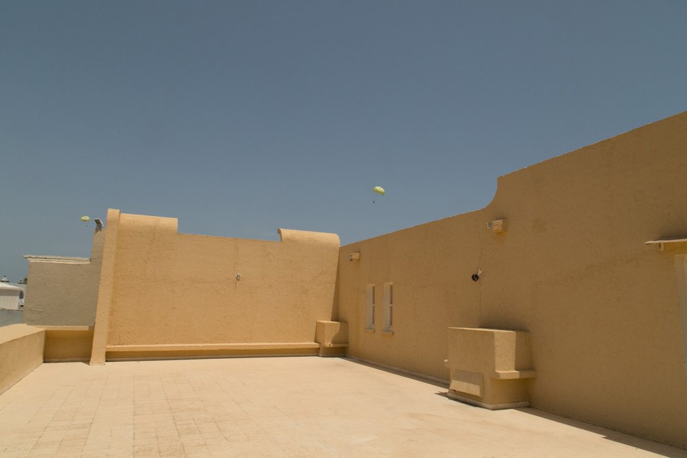 Цвет  пустыни