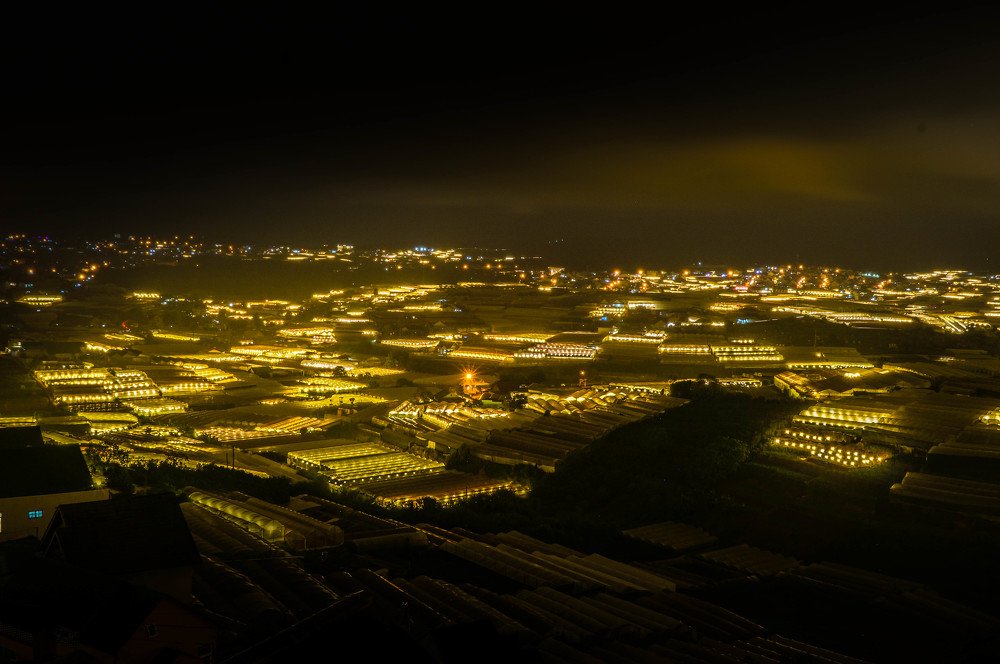 Photograph by Haluukts