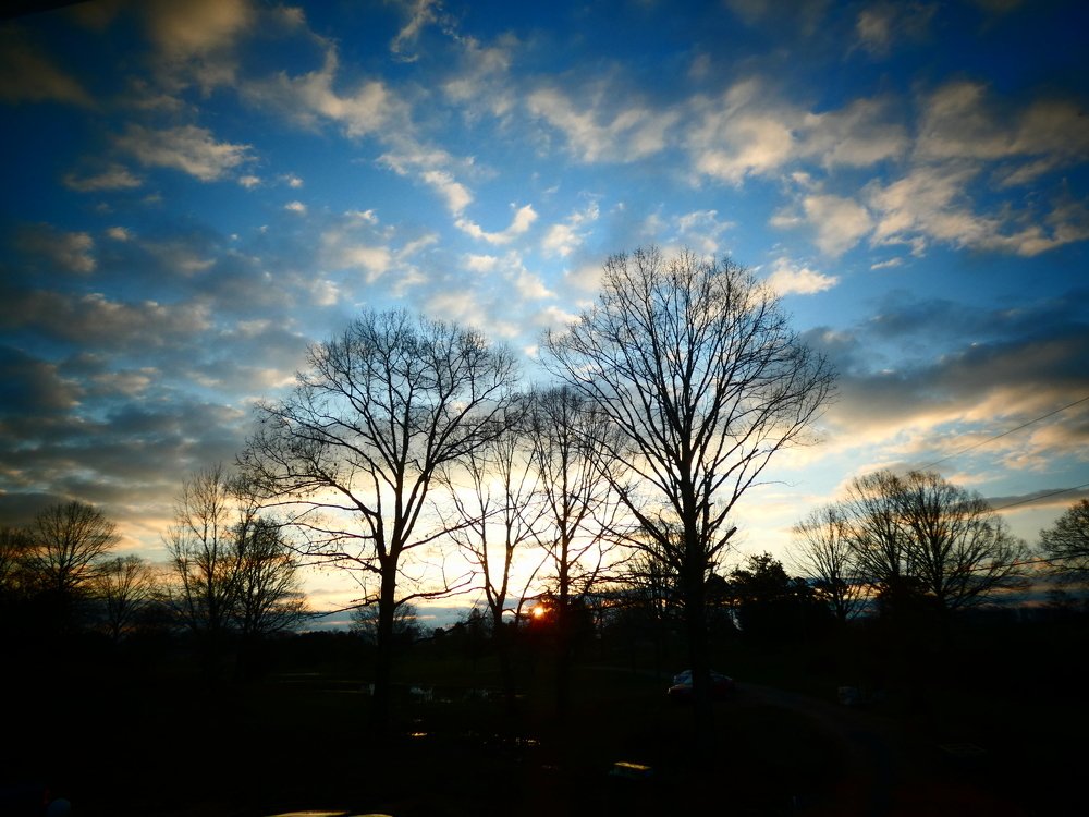 Голубой вечер .