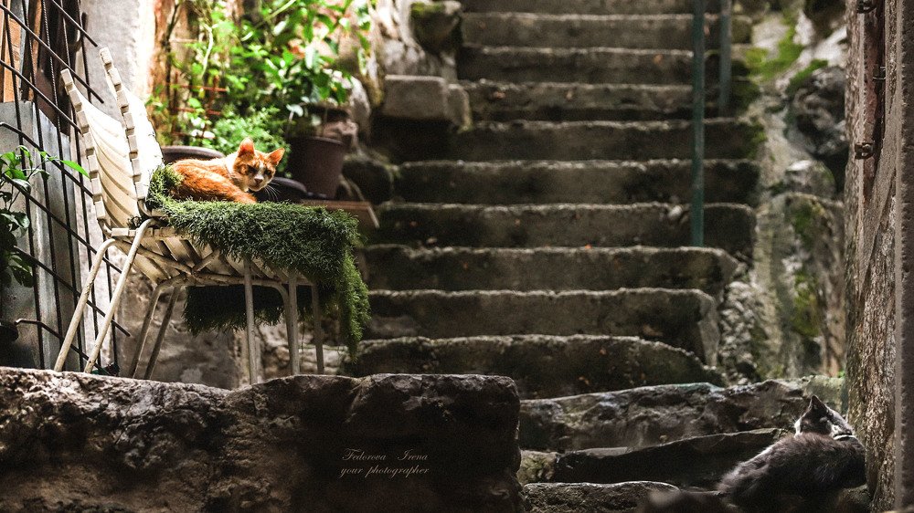 Photograph by ИРЕНА Федорова