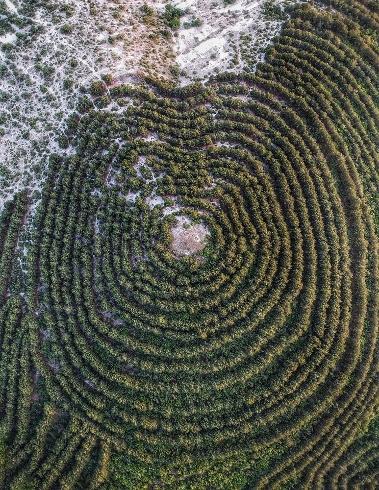 Отпечаток великана