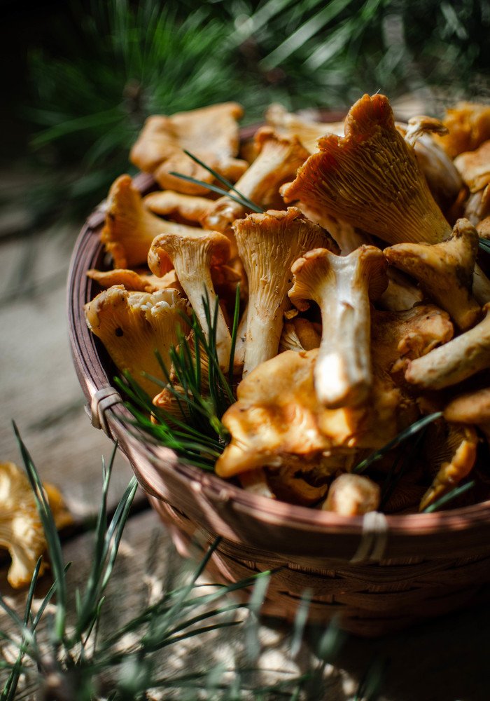 Photograph by Чернякова Анна