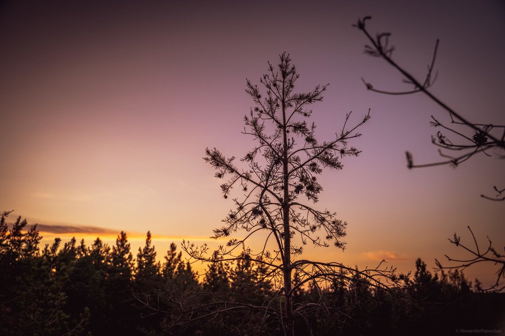 Somewhere in Finland