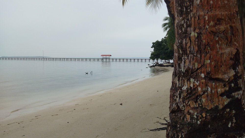SeaShore