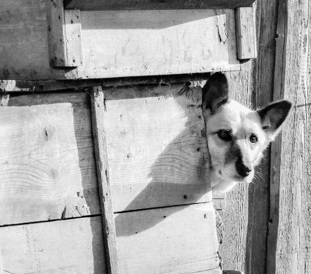 Photograph by Ольга Пацуло