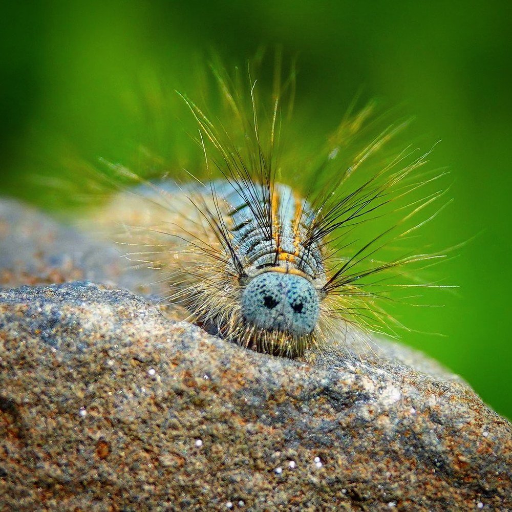 Здрасте, а вот и я!