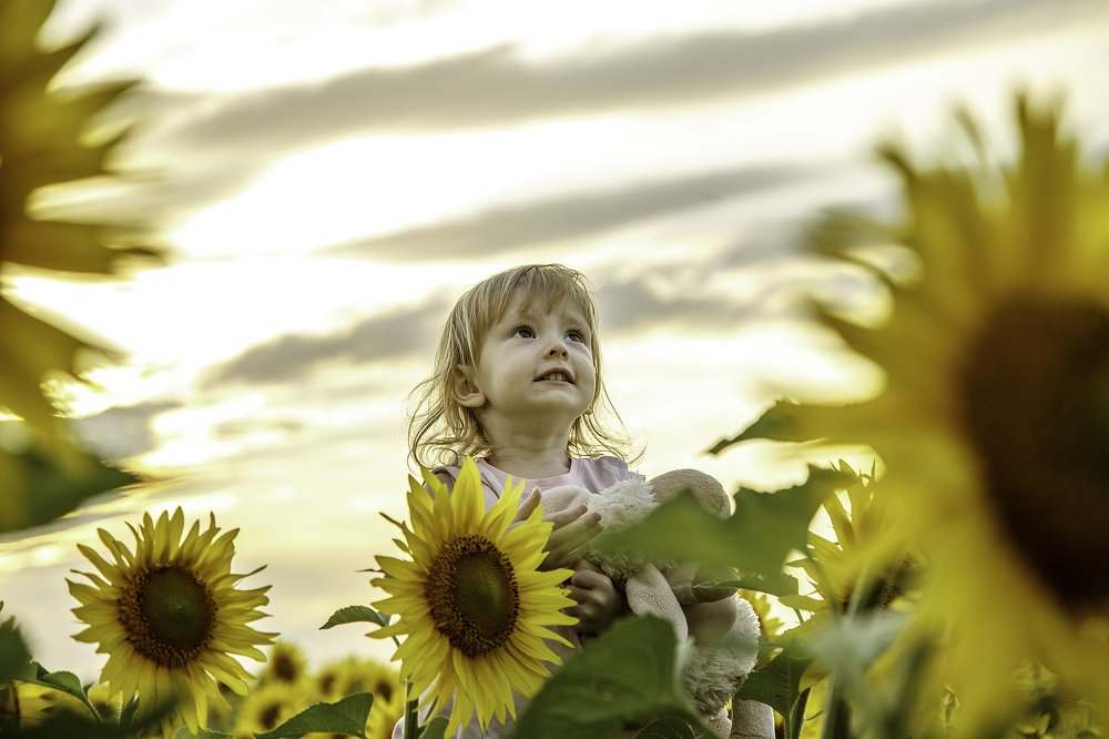 Анастасия в подсолнухах