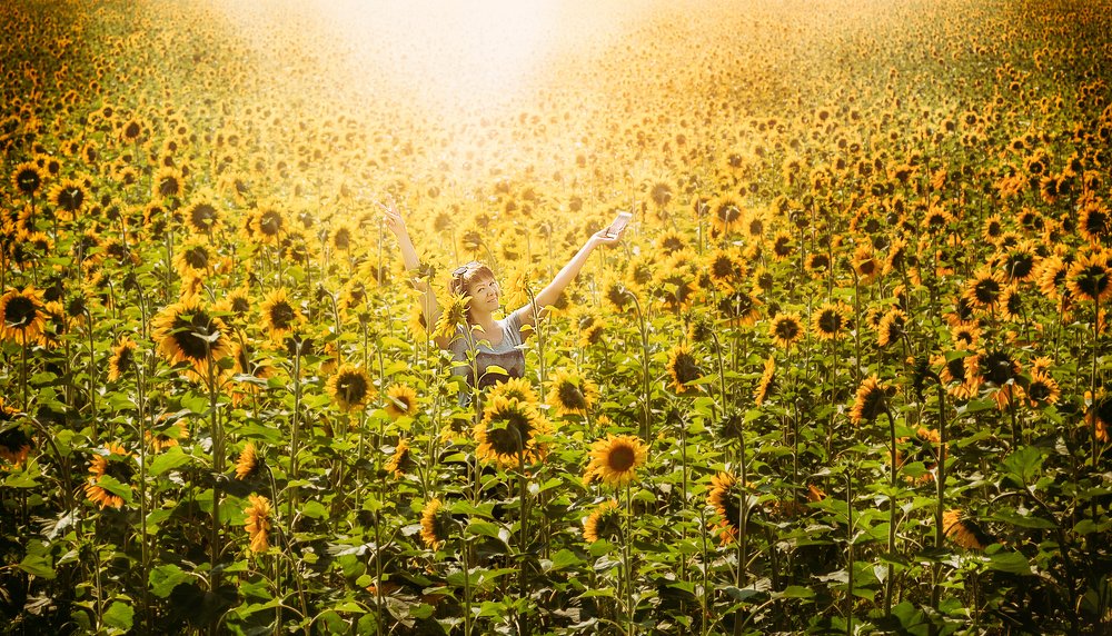 Желтое море.