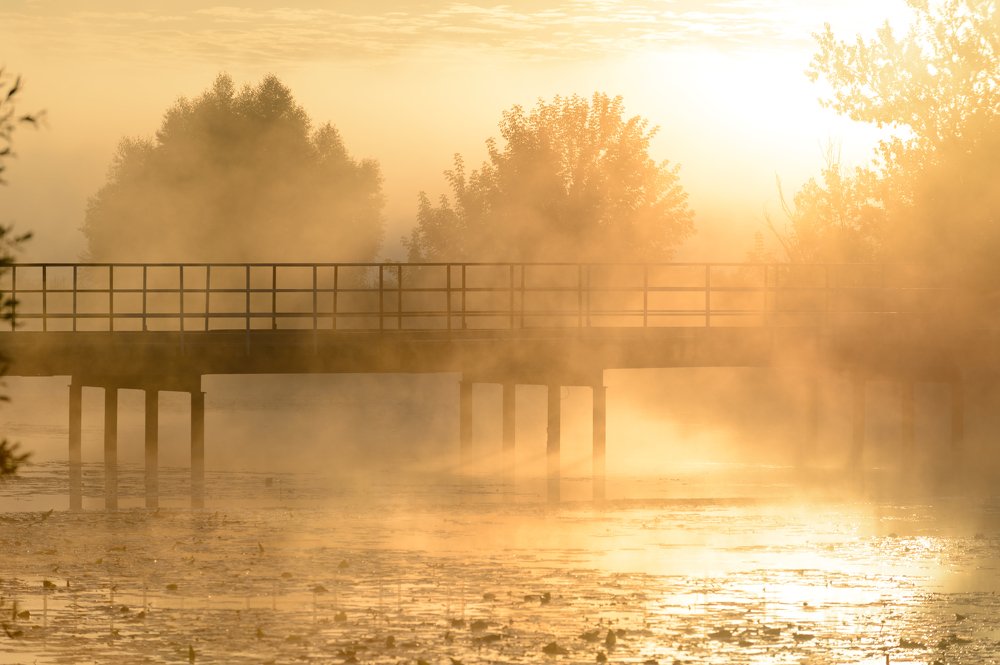 "Кипящий рассвет"