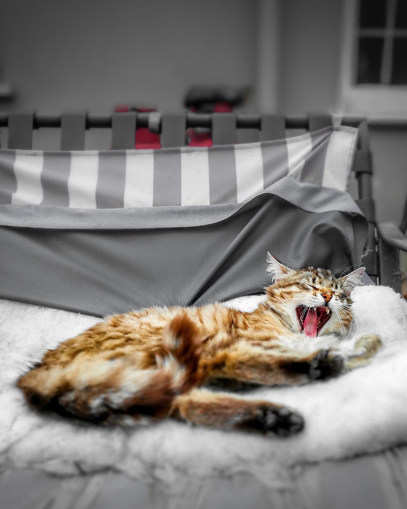 Its been a long day