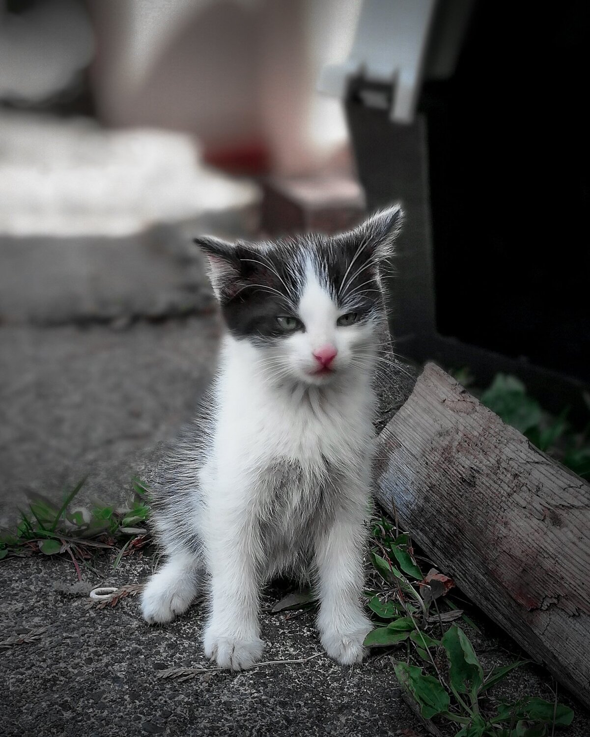 Not Impressed