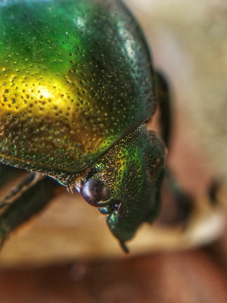 Photograph by Мария Путинцева