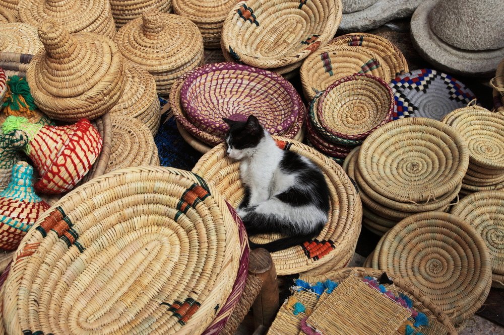 сон среди суеты