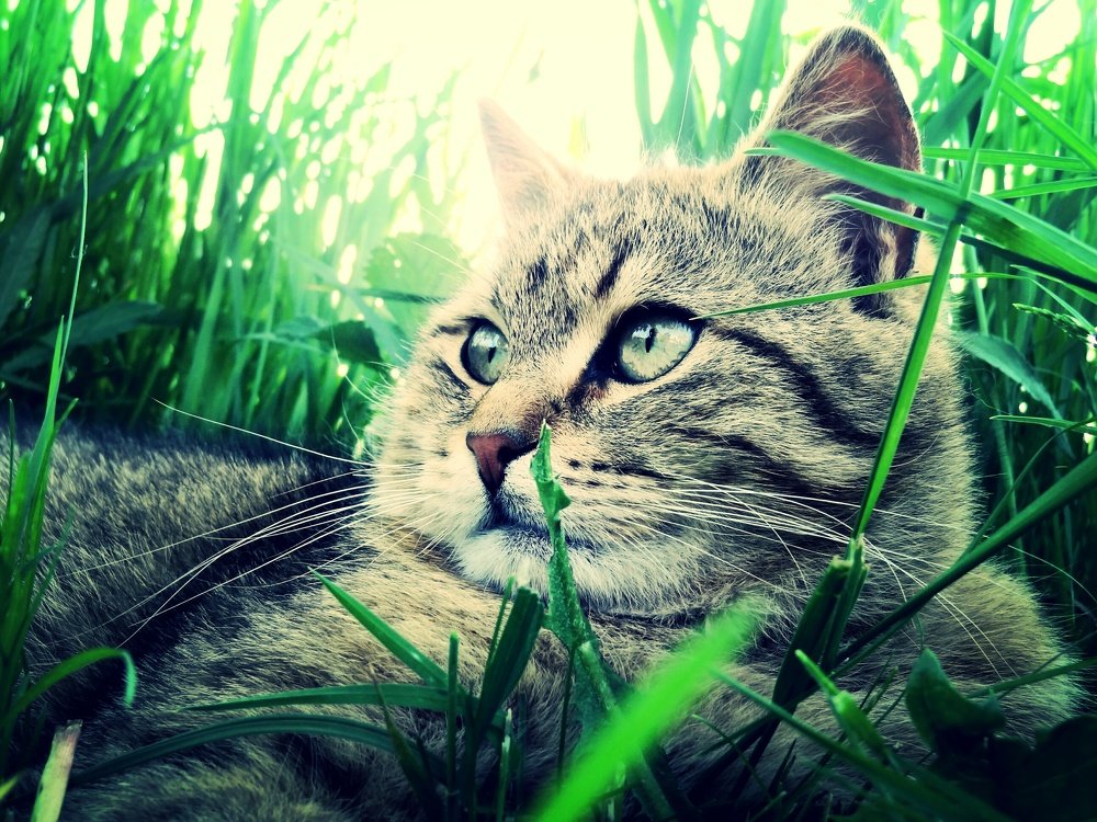 Photograph by Стефанова Татьяна