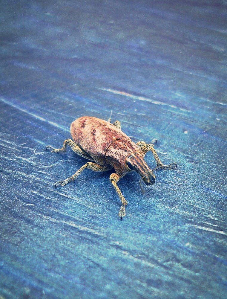 Photograph by Стефанова Татьяна