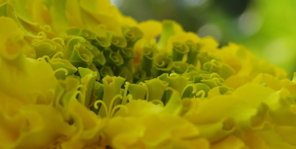 Photograph by Стефанова Татьяна