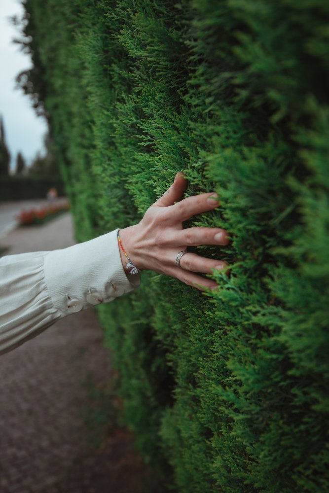 Photograph by Алексей Соколенко