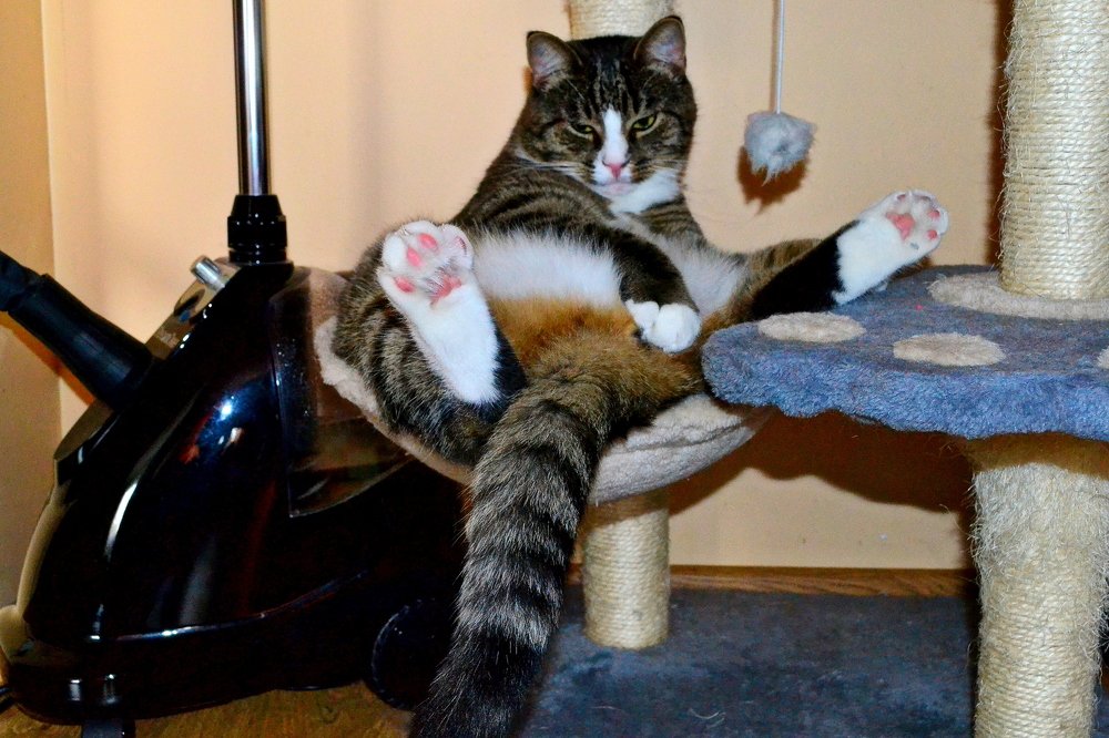 Вам чего надо?