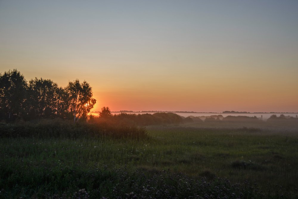 Photograph by Печерских Ксения