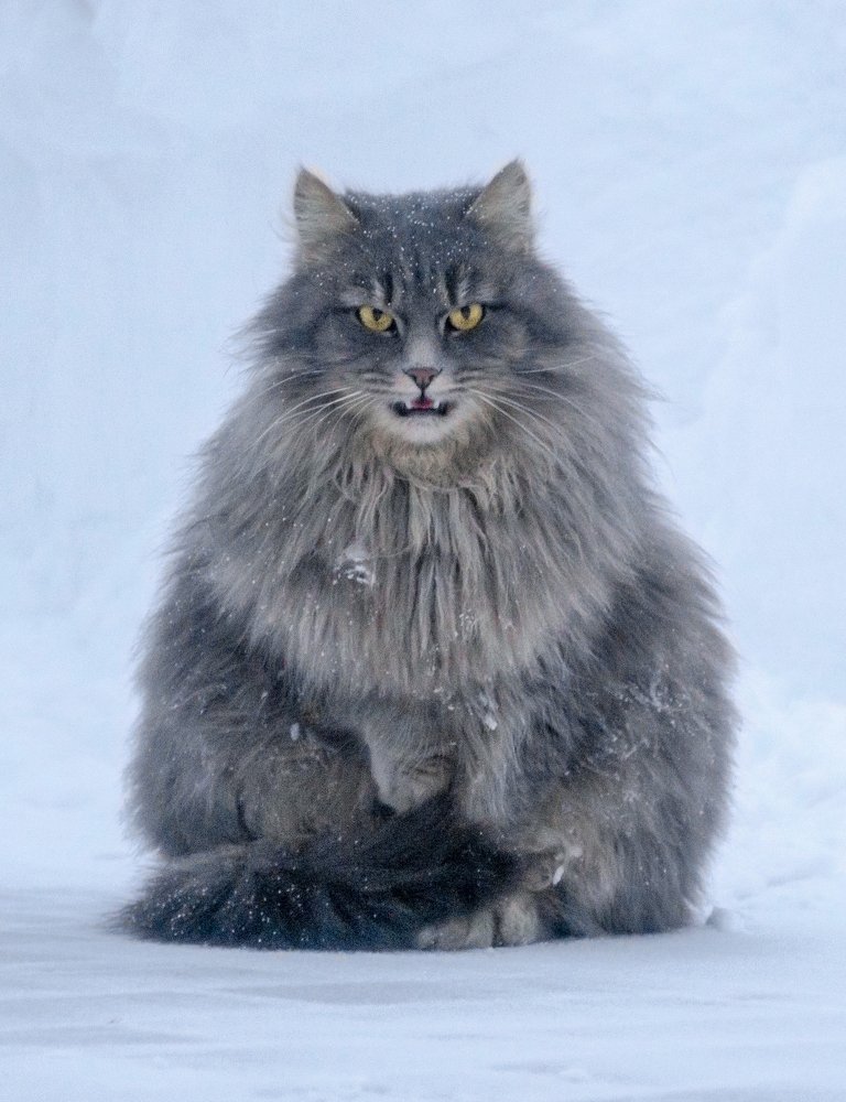 Photograph by Ксения Рыбка