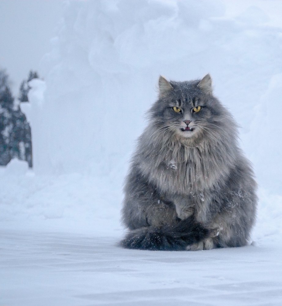 Photograph by Ксения Рыбка