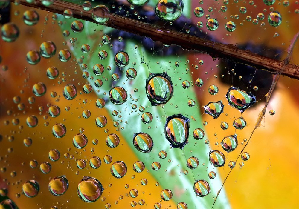 Осенняя палитра