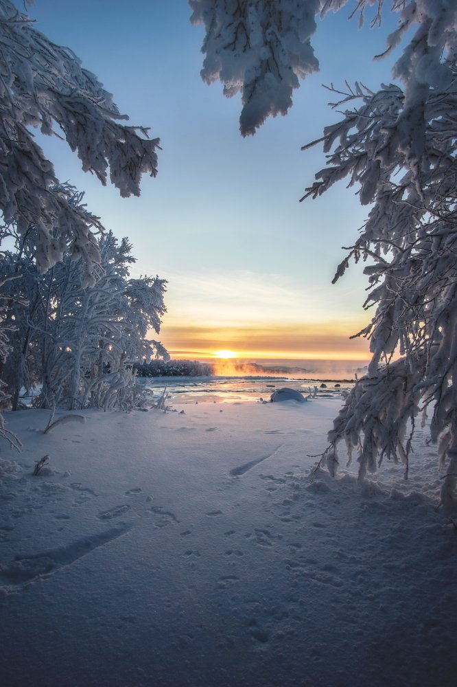 Окно в Заполярье