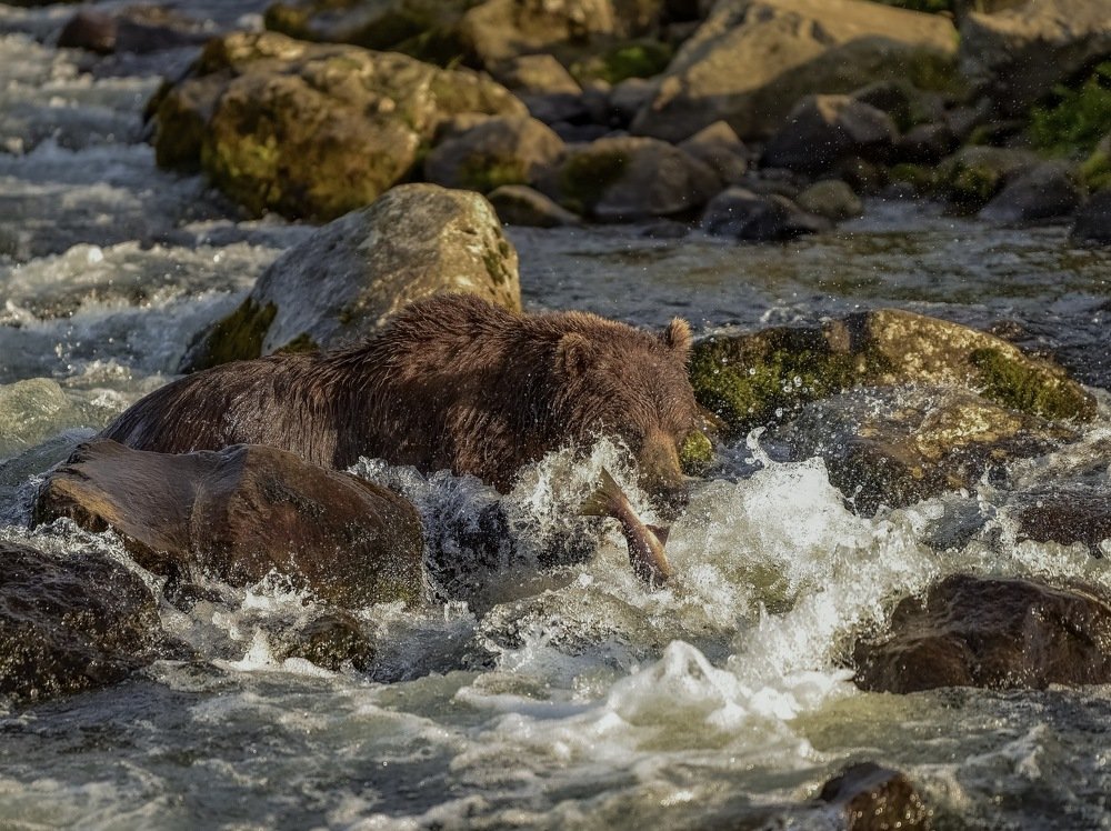 Неудачная попытка