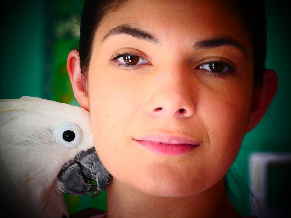 Девушка и какаду.