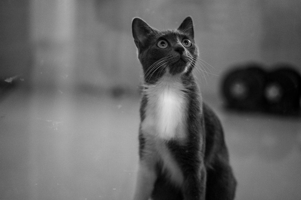 Thinking / Задумалась