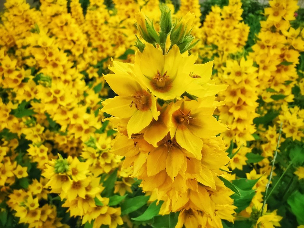 Photograph by Максим