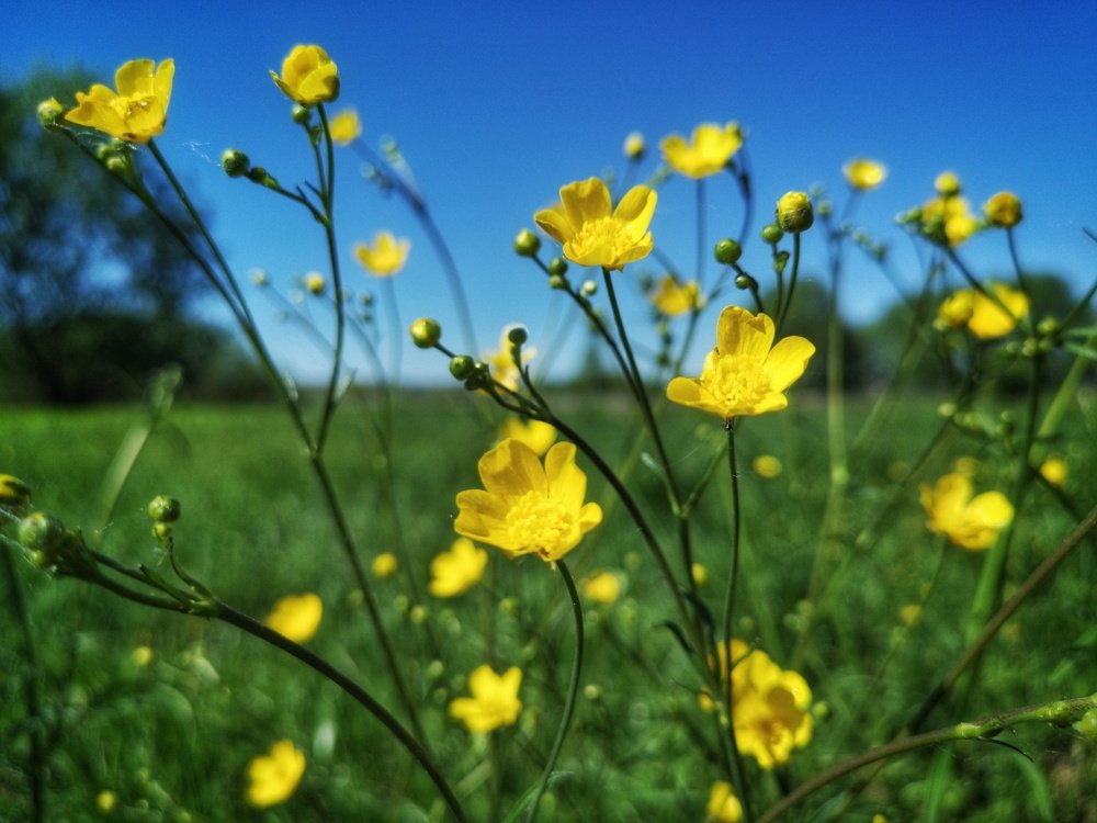 Photograph by Максим