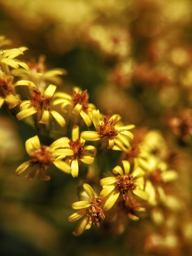 Photograph by Максим