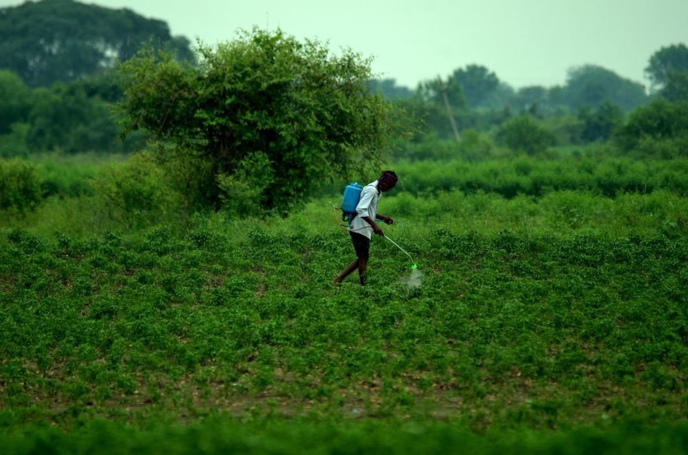 Farmer on Field