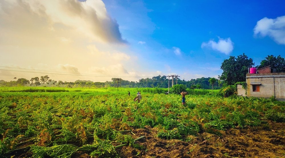 Happy farmers