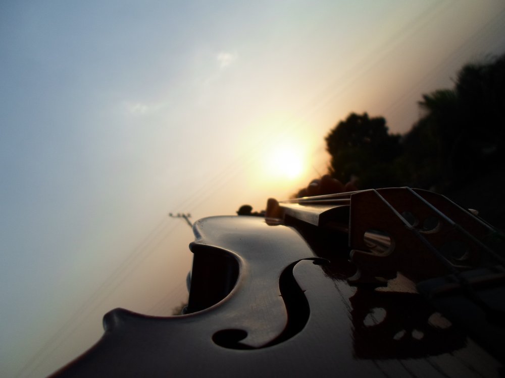 The violin's sunset