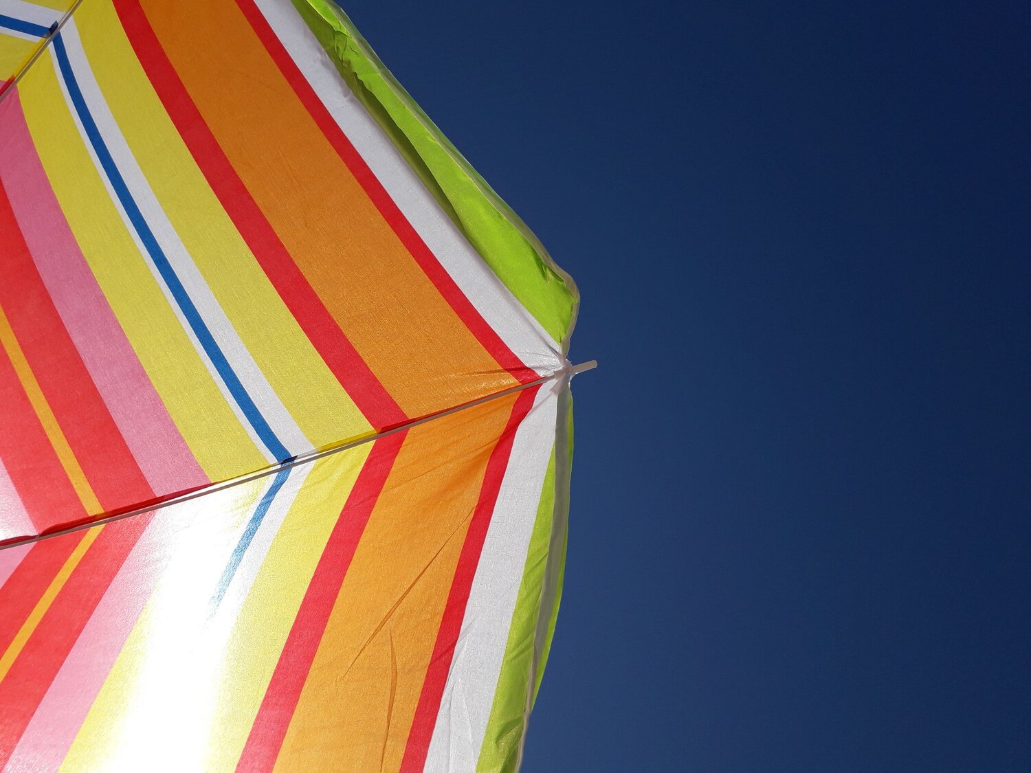Umbrella