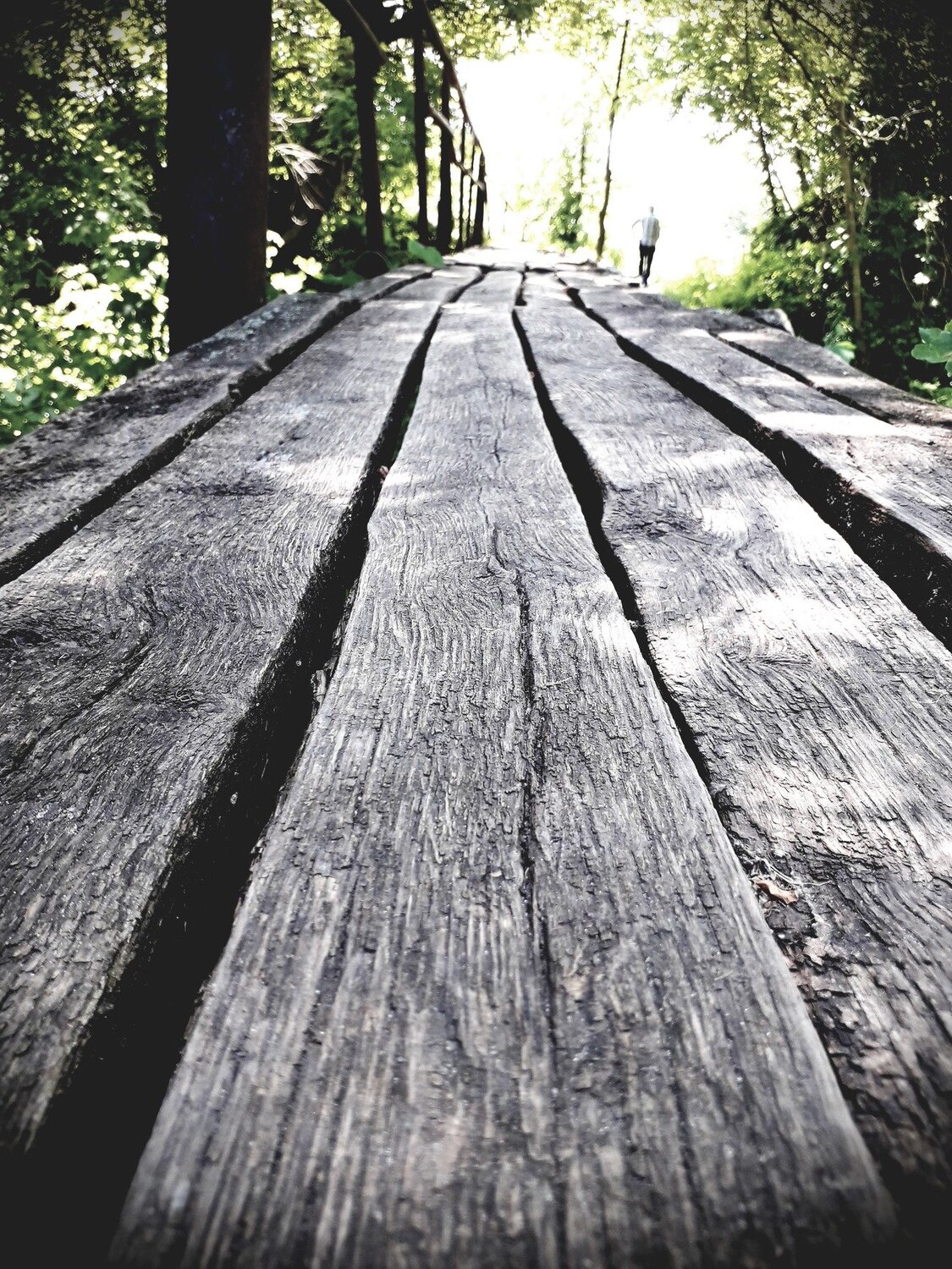 Bridge