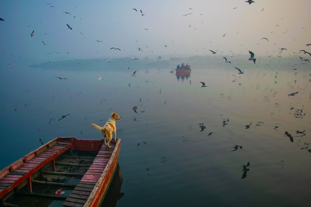 Photograph by Sandeep Kumar