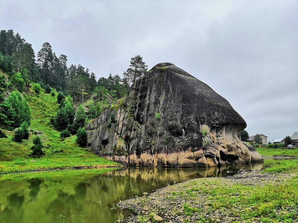 Рыба-кит. Сказка наяву