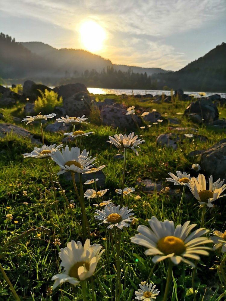 Закат на Бии