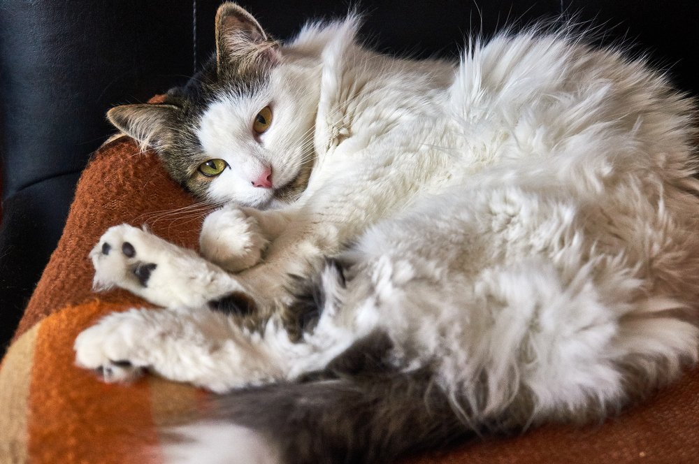 Photograph by Виктор Пономарёв