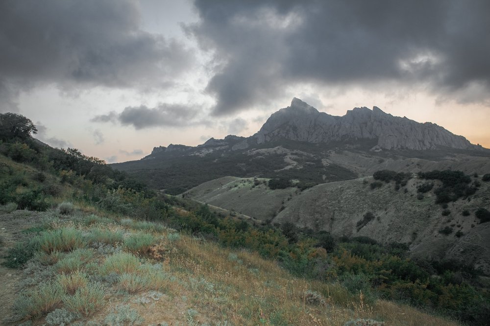 Фотография автора Ольга Галушкина