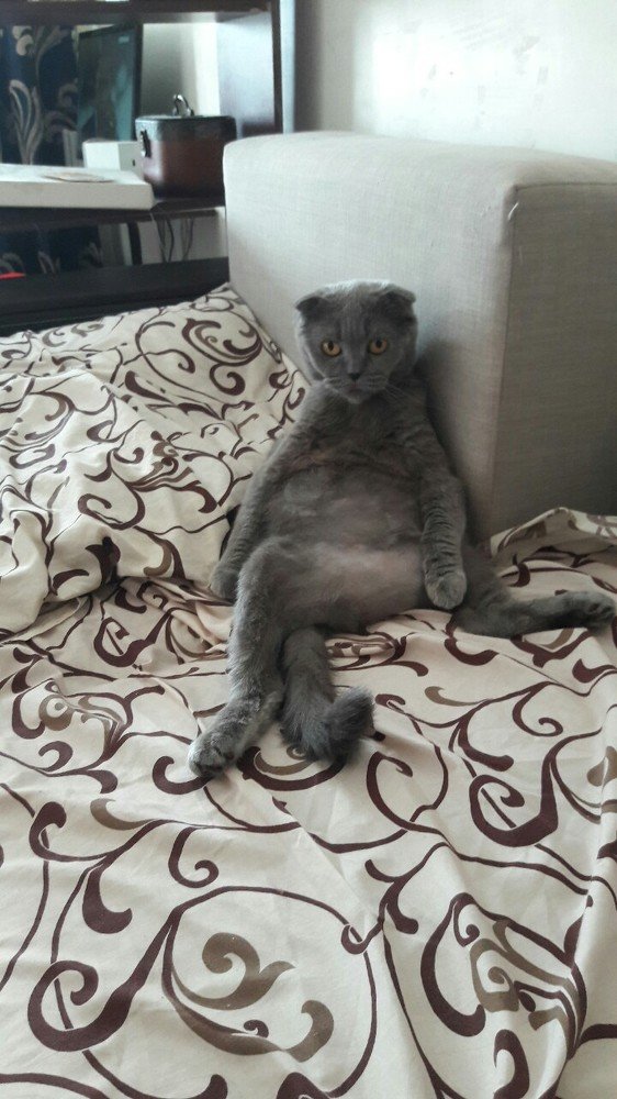 Вам тоже жарко?))