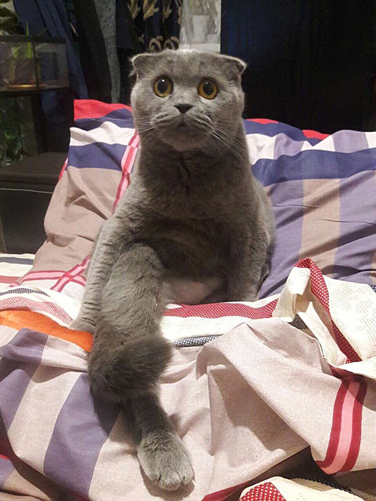 Ух ты!! А кто ты???